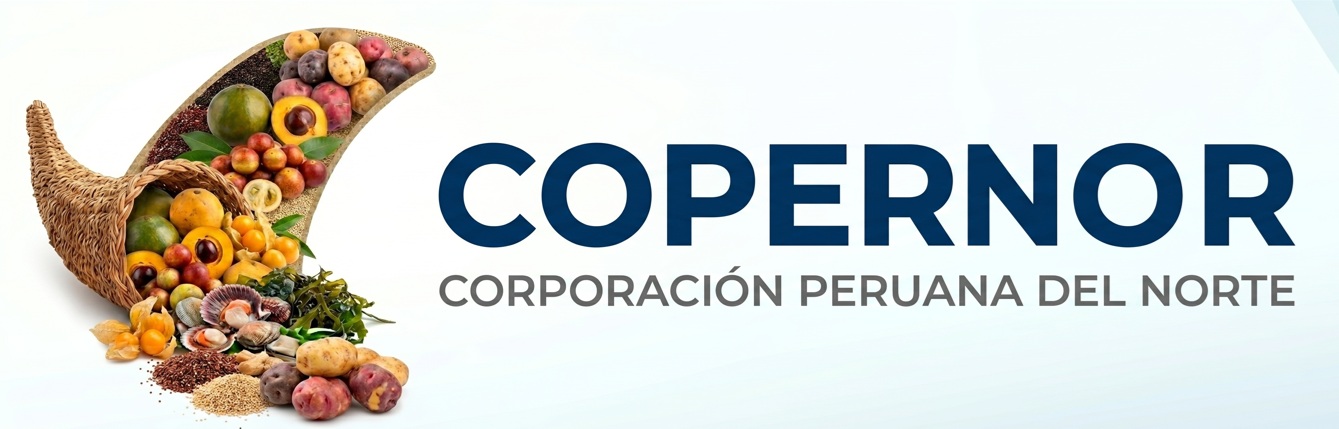 Copernor Logo